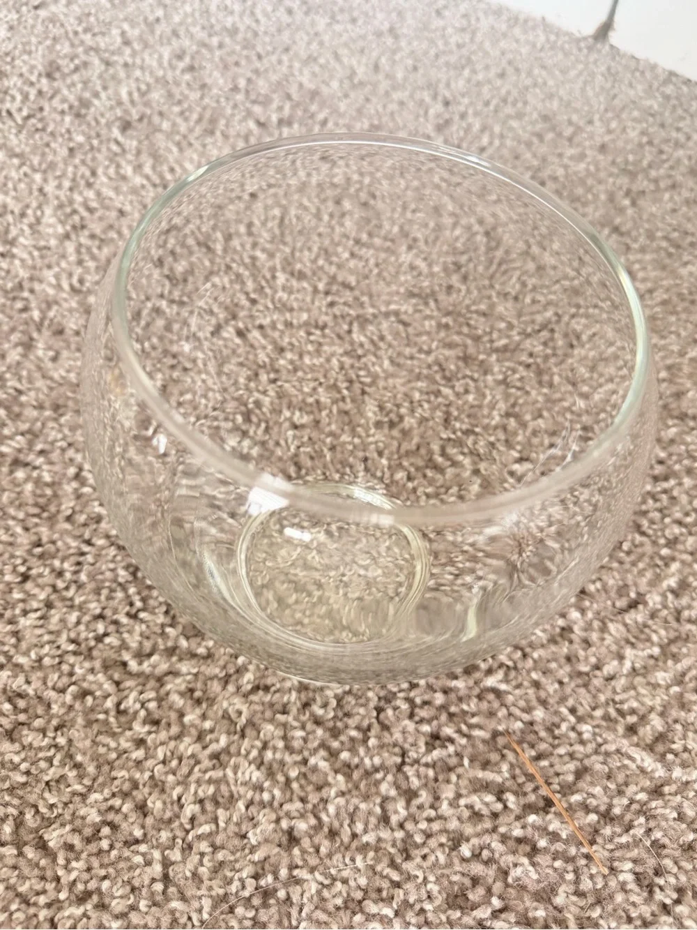 Clear Rounded Glass Vase - Minimalist Accent